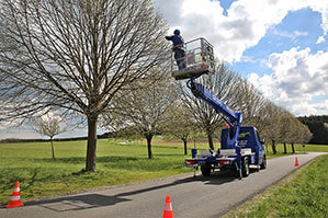 Baumpflege mit LKW-Arbeitsbühne aus der BEYER-Vermietung