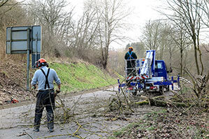 Baum- und Grünpflege an Straße mit LKW-Bühne von BEYER